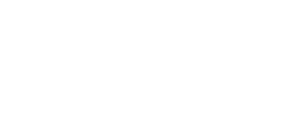 Regional Income Tax Agency Web Site